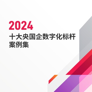 中软协CIO分会＆DIIRC：2024十大央国企数字化标杆案例集